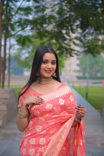 Cotton Mine Saree with Blouse AD18